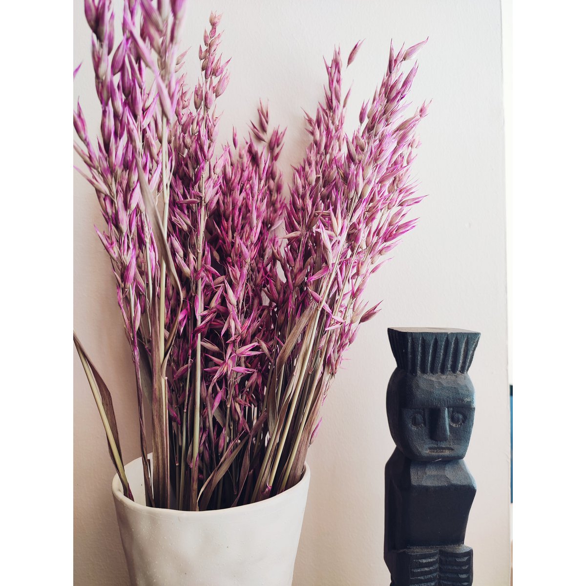 Avena lyserøde tørrede blomster