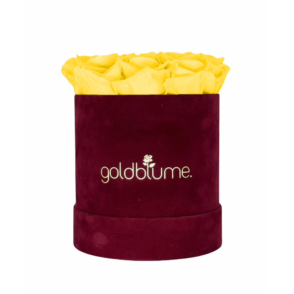 Collection Velours Bordeaux