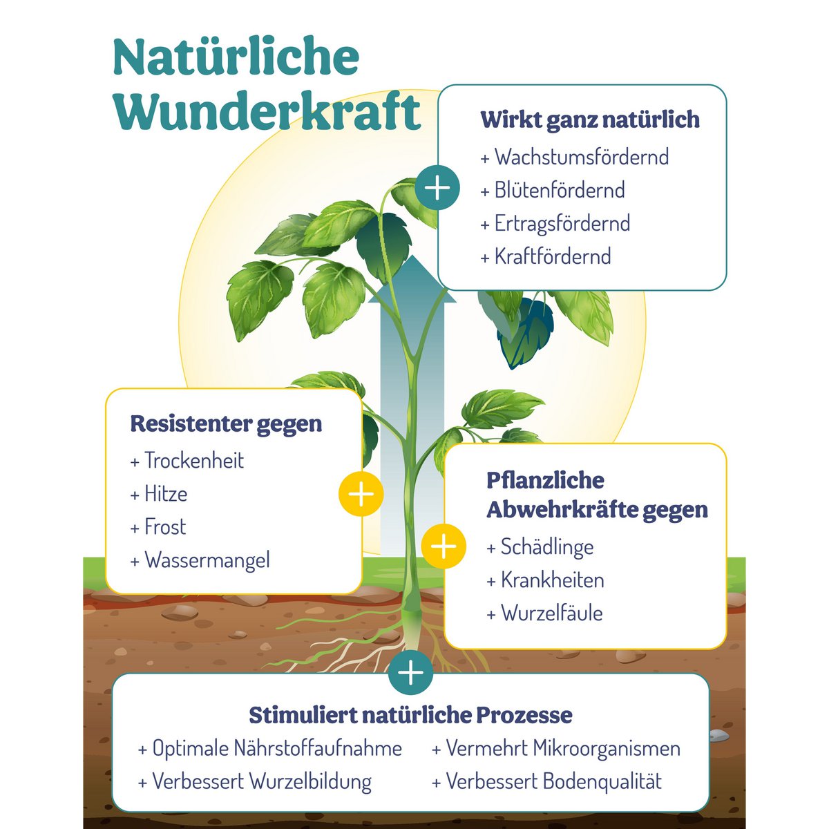 PflanzenWunder – jetzt im Vorteilspaket mit Sprühflasche!