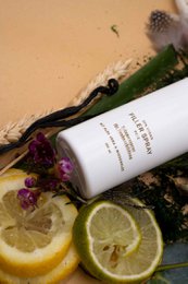 Filler Spray PO/2 - light hair