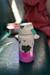 Insulated Stainless Steel Bottle Veggie Pals