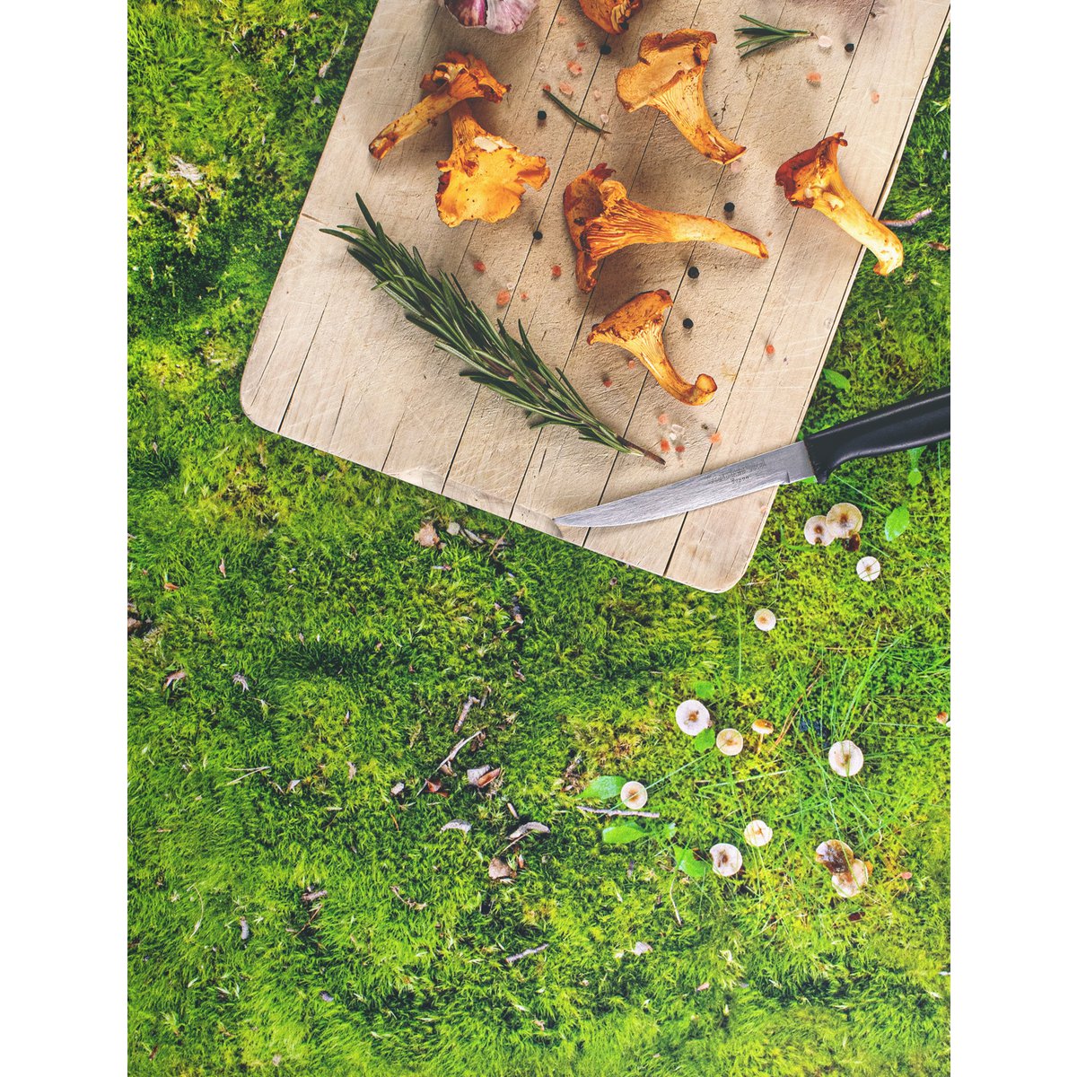 MOSS - tablecloth