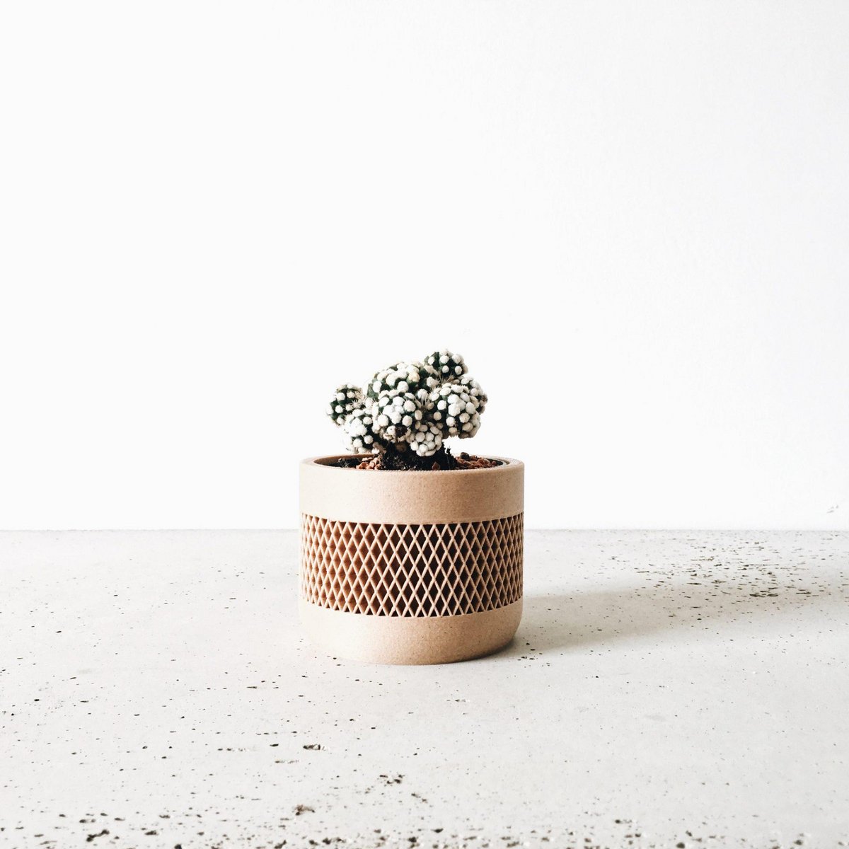 MAT Kamerplanter