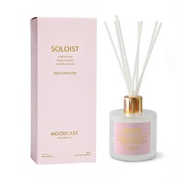 Solist 100 ml Schilfrohr-Diffusor