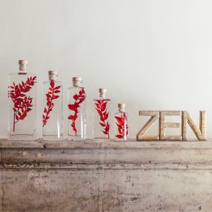 The Herbarium - Red Ruscus submerged plant
