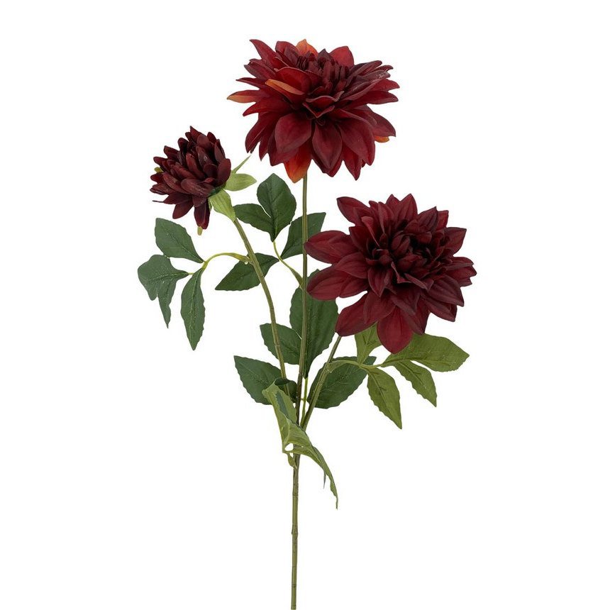 Dalia X3 Oto?L Roja 67cm(13)