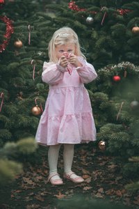 Jolene Dress - Gingham Pink and White Dress