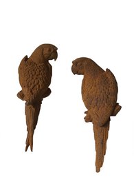  Cast iron garden sculptures in the shape of parakeets. Rustic brown finish with detailed feather textures. Suitable for outdoor decor and bird-themed displays.