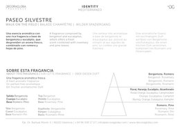 Bâtons parfumés Mikado Diffuseur | Parfum romarin, pin et eucalyptus | Paseo Silvestre | 100ml/3,38 fl.oz
