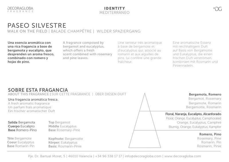 Bastoncini profumati Mikado Diffusore | Profumo di rosmarino, pino ed eucalipto | Paseo Silvestre | 100 ml/3,38 once fluide