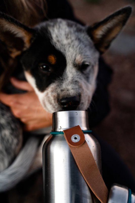 BLACK + BLUM Insulated Stainless Steel Bottle | Waterproof | 750ml | Ocean