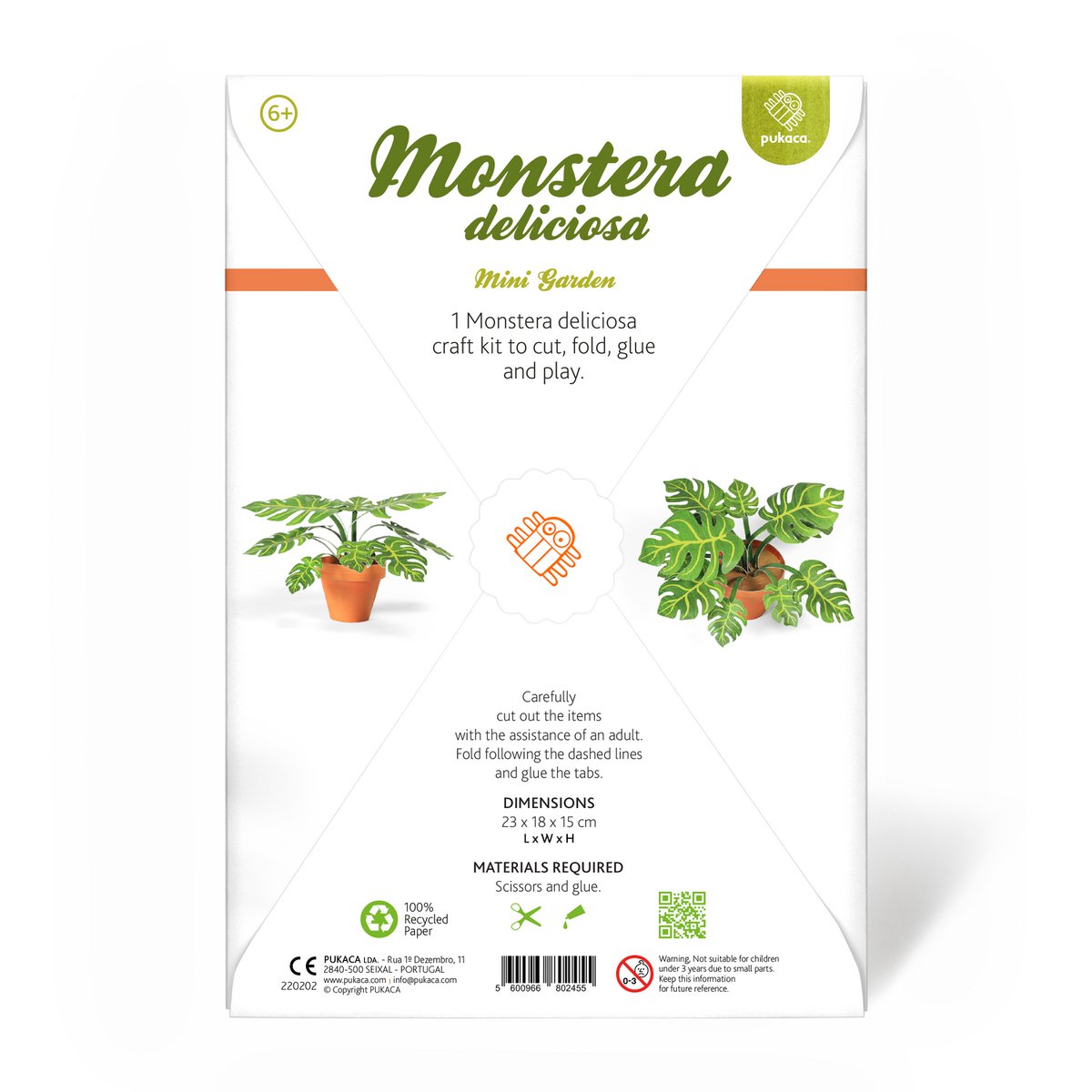 Pyszny mini zestaw do rękodzieła ogrodowego Monstera