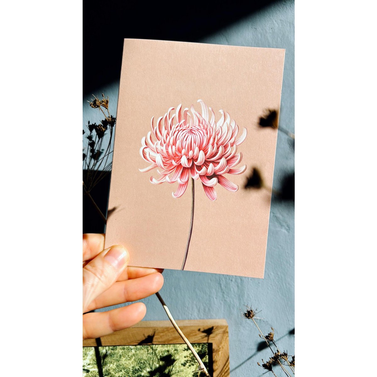 Wenskaart Leporello Chrysant