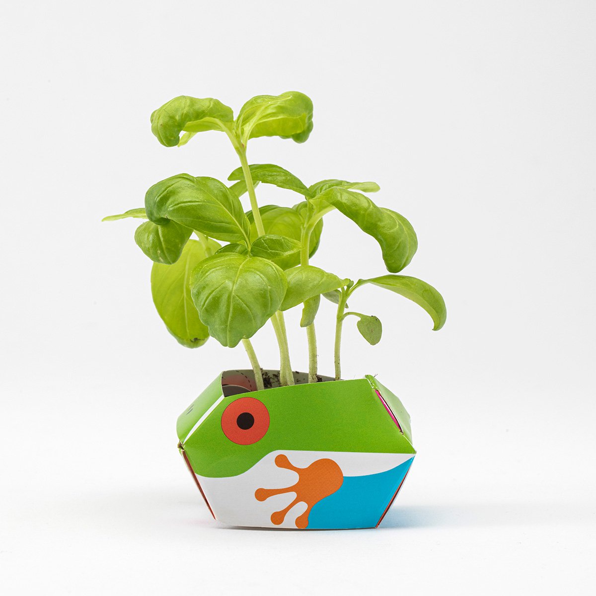 1 OriBon+ - Colección de animales de la selva tropical