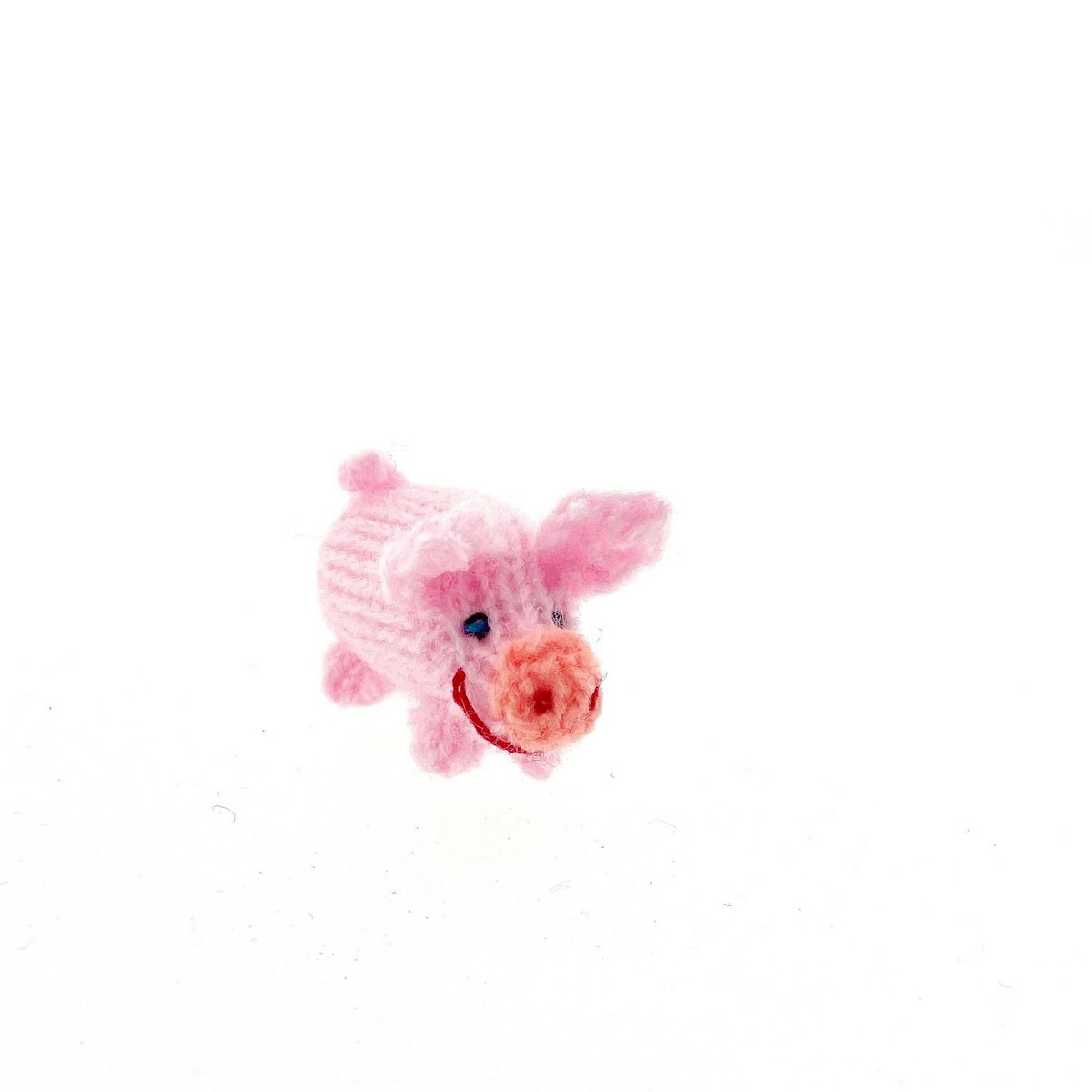 Cerdo de punto, pequeño