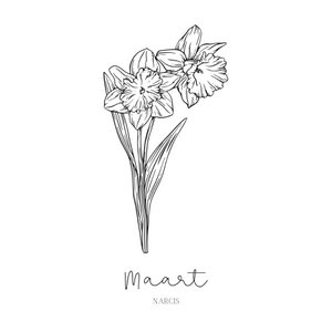 Geburts-Blumenfliese | Marsch