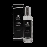Raumspray 100ml - Eisenkraut