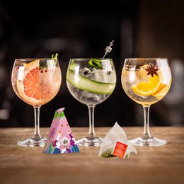ETS - Botanicals for Gin Set, Geschenkbox Gin Gewürz-Kollektion, BIO, 12 Pyramidenbeutel