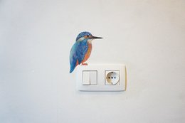 Wallsticker Kingfisher