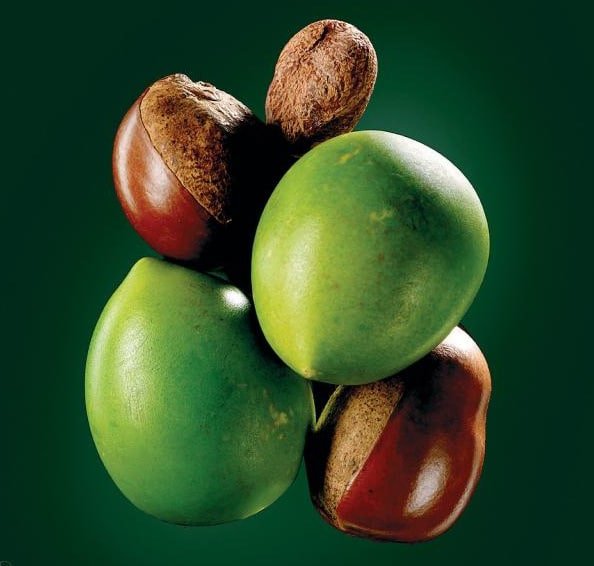 Exfoliante pasión gourmet orgánico