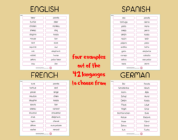 The Multilingual Memory Game: Spanish + 3 other languages of your choice