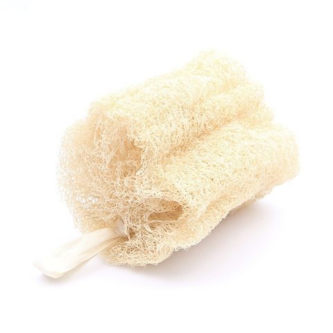 Luffa-Körperschwamm | Weiche ägyptische Pflanze