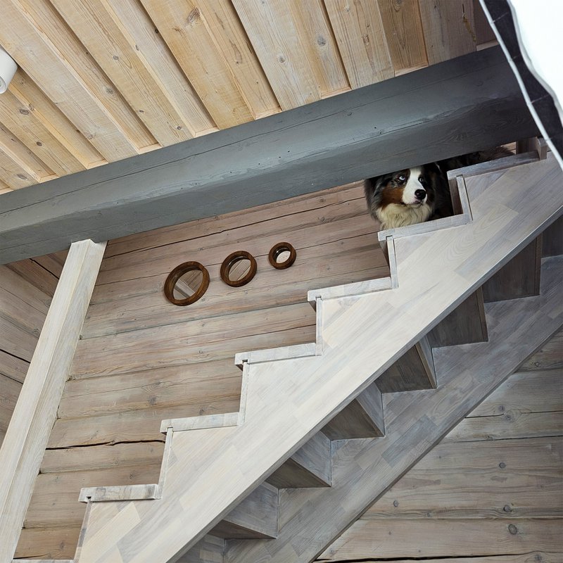 Set di 3 specchi di quercia artigianali per spazi rustici, minimalisti e di fattoria
