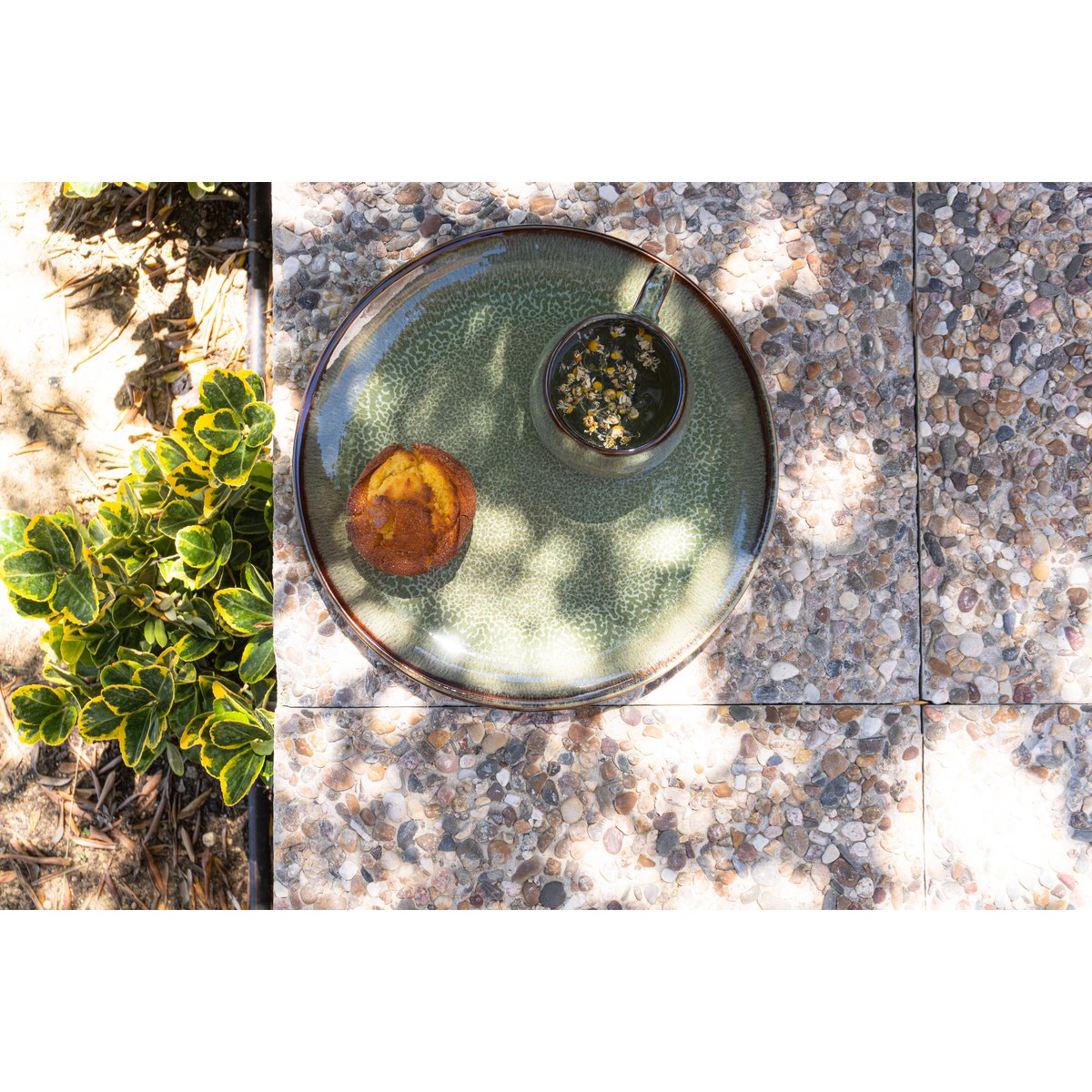 Evora dinner plate green