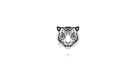 Temporary tattoo: Tiger