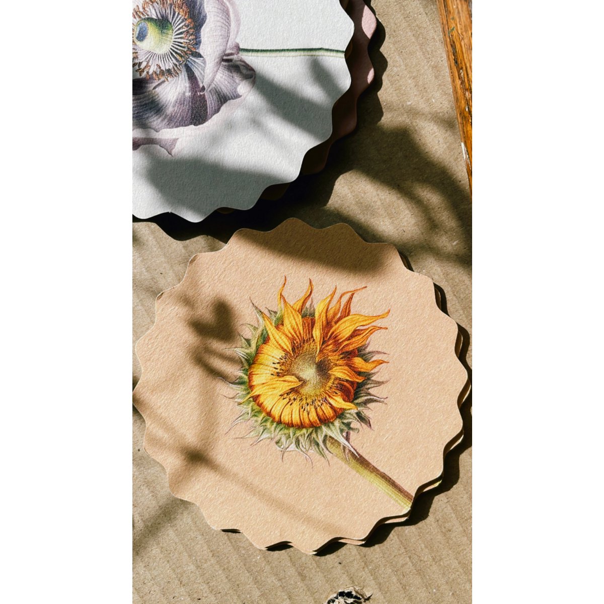 Sous-verres 10 motifs fleurs - 12 sets