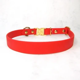 Plain Jane dog collar