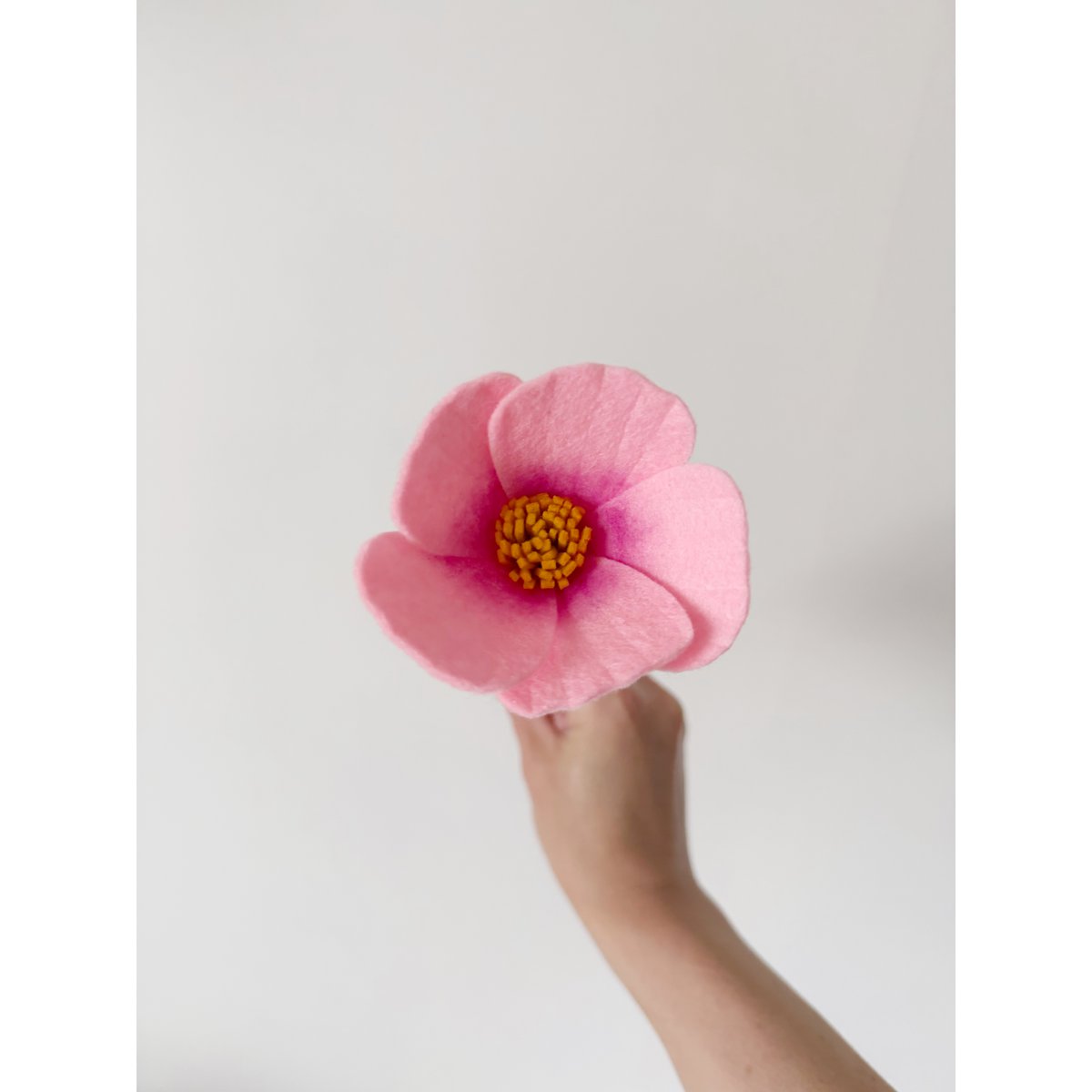 Feltbloem Cosmea Pink