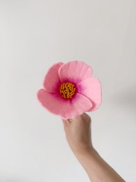 Feltbloem cosmea pink