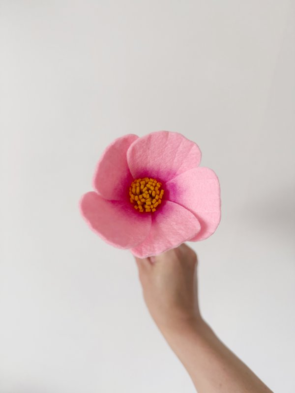 Feltbloem cosmea pink