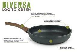 Sartén de diversa diversa