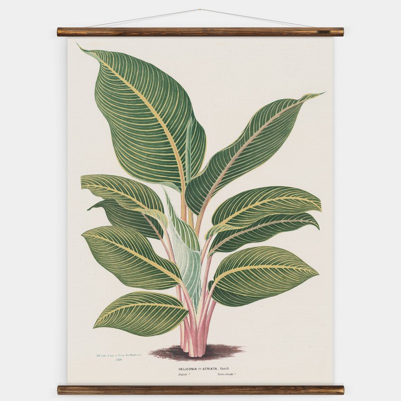Carte murale Heliconia