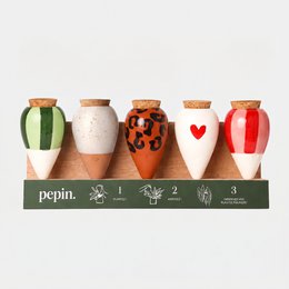 Olla Discovery Pack (display offered)