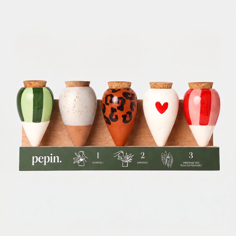 Olla Discovery Pack (display offered)
