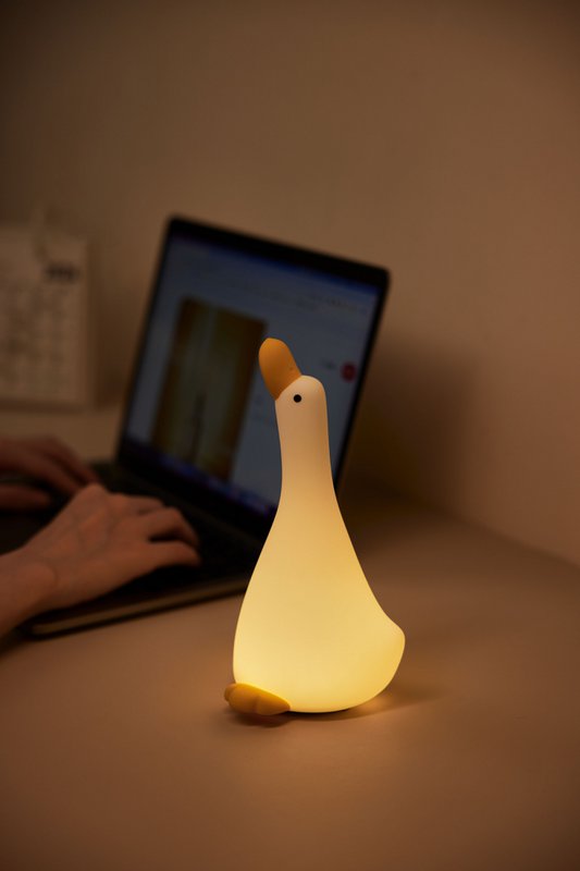 Night light goose with 3 positions and 30 minutes timer