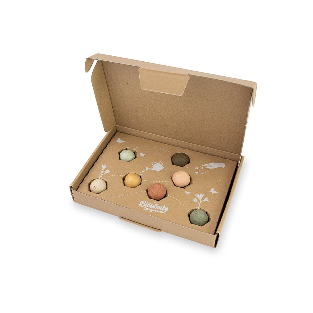Kleine Geschenkbox mit 7 Samenbomben