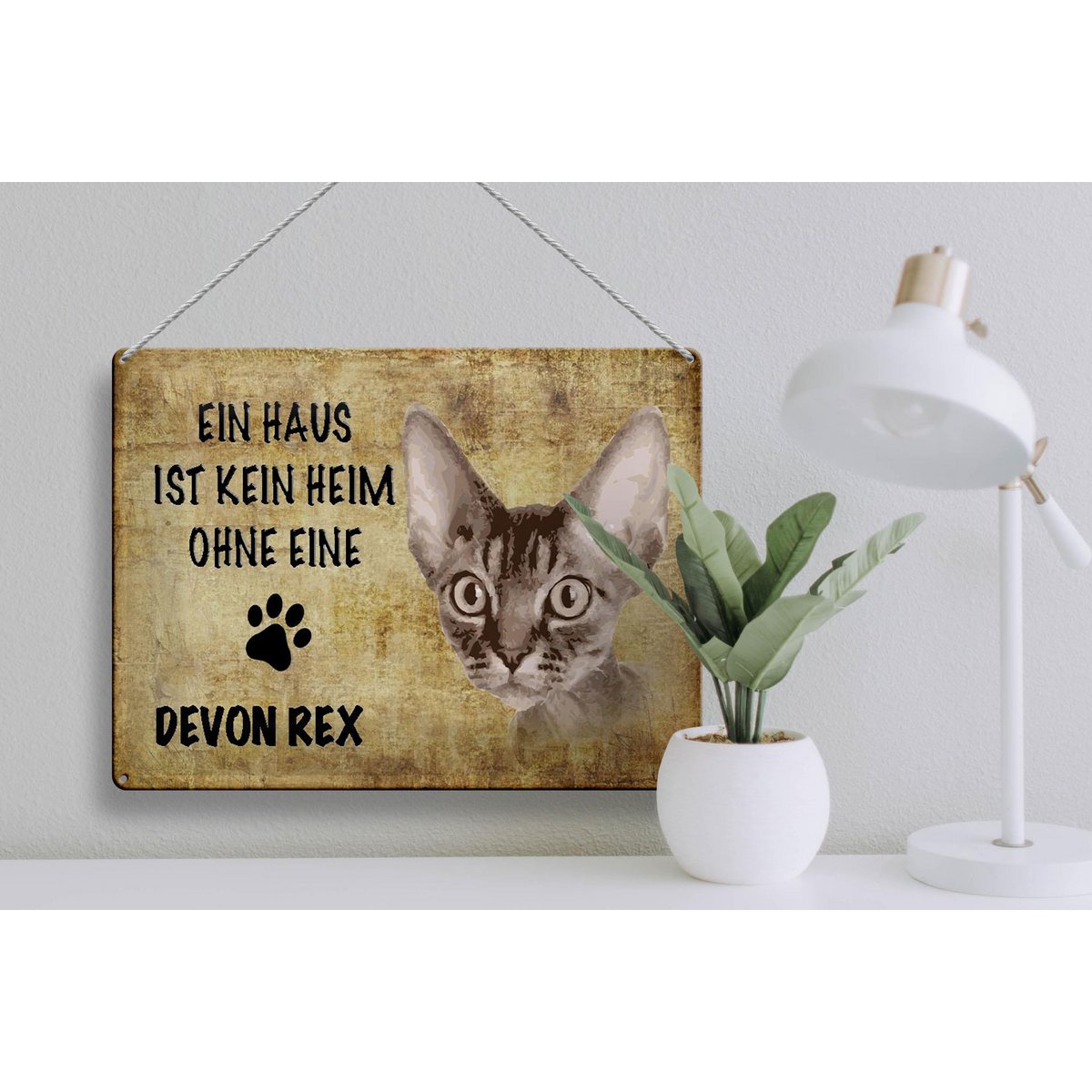 Metal sign saying 40x30cm Devon Rex cat without no home