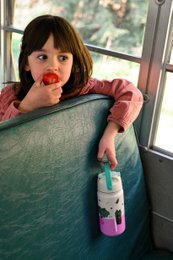 Insulated Stainless Steel Bottle Veggie Pals