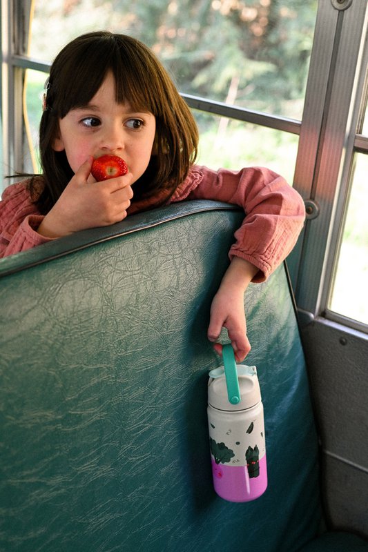 Insulated Stainless Steel Bottle Veggie Pals
