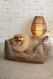 PHOEBE Chenille Hundeseng med hævede sider