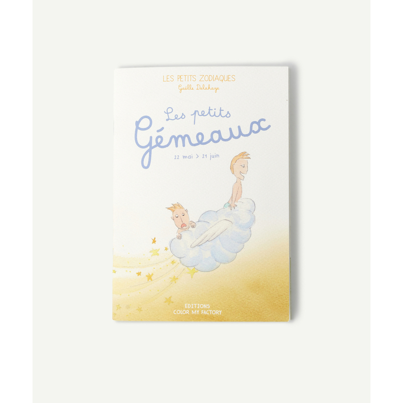 Little Gemini - birth and birthday gift