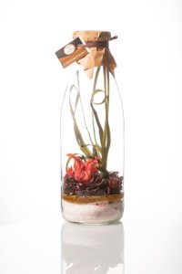 Preparation for Arranged Rum "Hibiscus Red Fruits" 1L