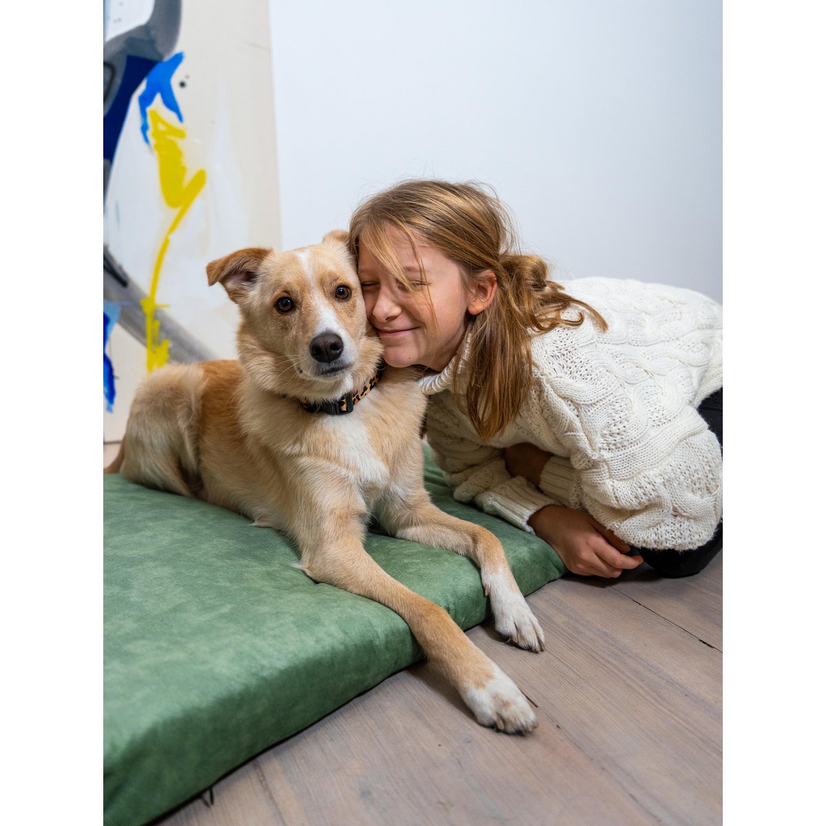 Madras "Soft" til en hund og en kat - genbrugt