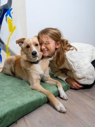 Materasso "Soft" per cane e gatto - riciclato