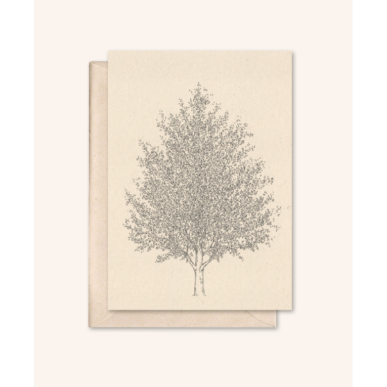 Carta sostenibile + busta | Albero d'ambra | Fiore di sambuco