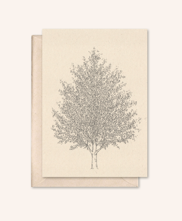 Carta sostenibile + busta | Albero d'ambra | Fiore di sambuco
